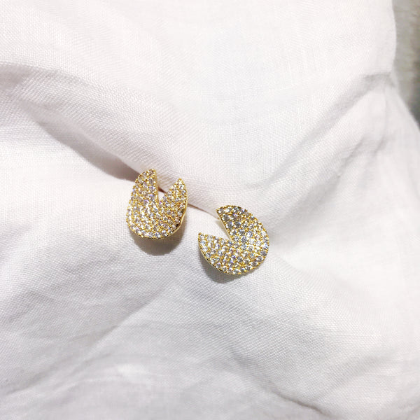 Chic Earrings (CE135)